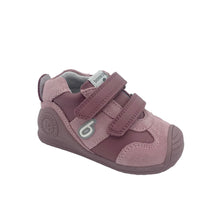 Load image into Gallery viewer, biomechanics