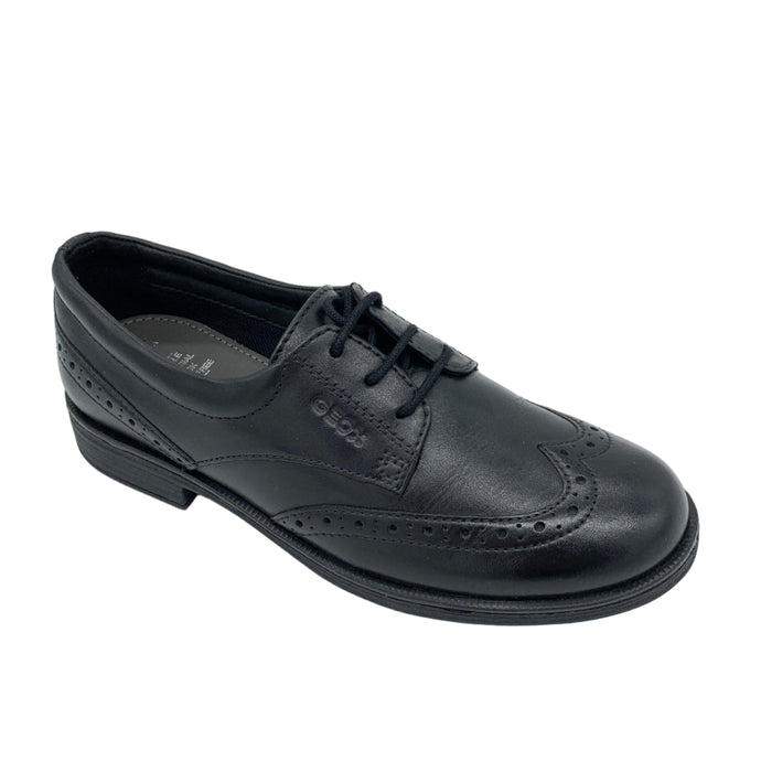 Black leather shoe on a white background