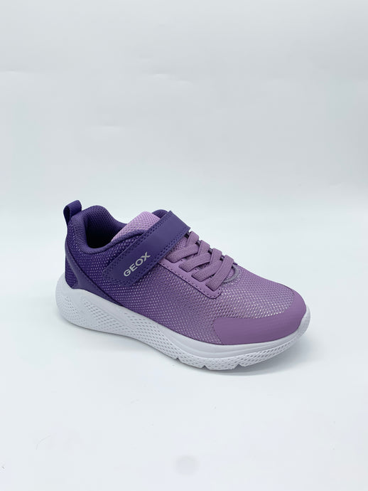 Geox Trainer runner Violet Lilac girl shoe Dublin 